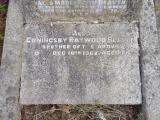 image of grave number 665384